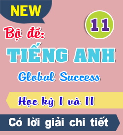 Bài Test Kiểm tra  Global Success 11
